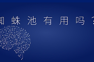 蜘蛛池有什么用?