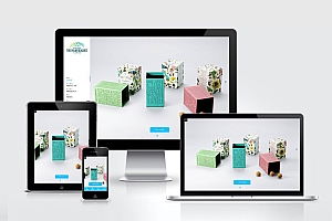 响应式包装设计行业网站建设案例